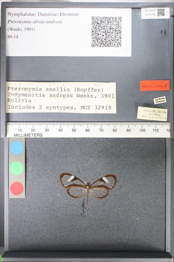 Media type: image;   Entomology 105166